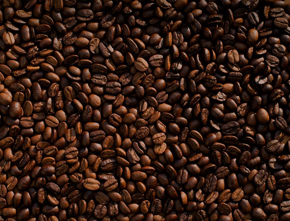 vários grãos de café