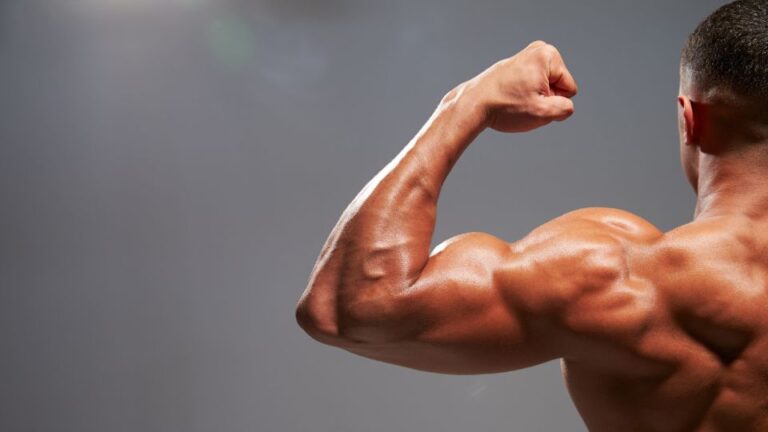 Tônus muscular: o que você precisa saber sobre o assunto?