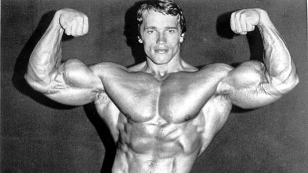 arnold 